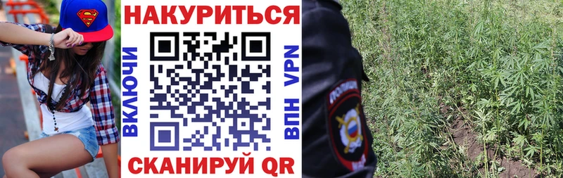 Где найти наркотики Костомукша ГАШ  Галлюциногенные грибы  Кокаин  Alpha PVP  Мефедрон  MEGA ONION  Канабис 